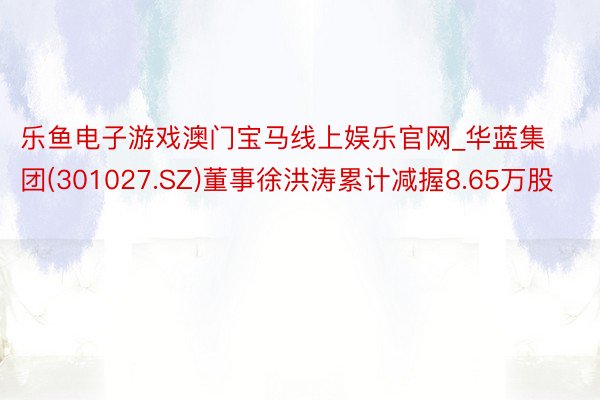 乐鱼电子游戏澳门宝马线上娱乐官网_华蓝集团(301027.SZ)董事徐洪涛累计减握8.65万股