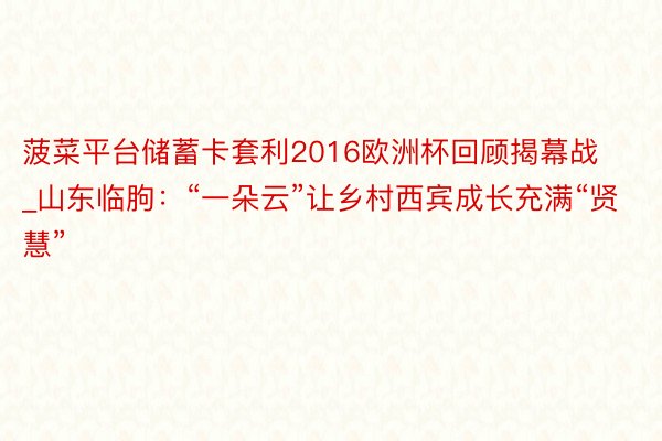 菠菜平台储蓄卡套利2016欧洲杯回顾揭幕战_山东临朐：“一朵云”让乡村西宾成长充满“贤慧”